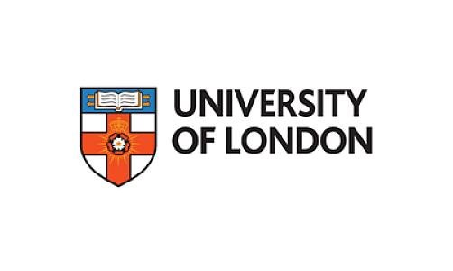 BSc Professional Accountancy