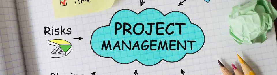 Project Management Professional (PMP)